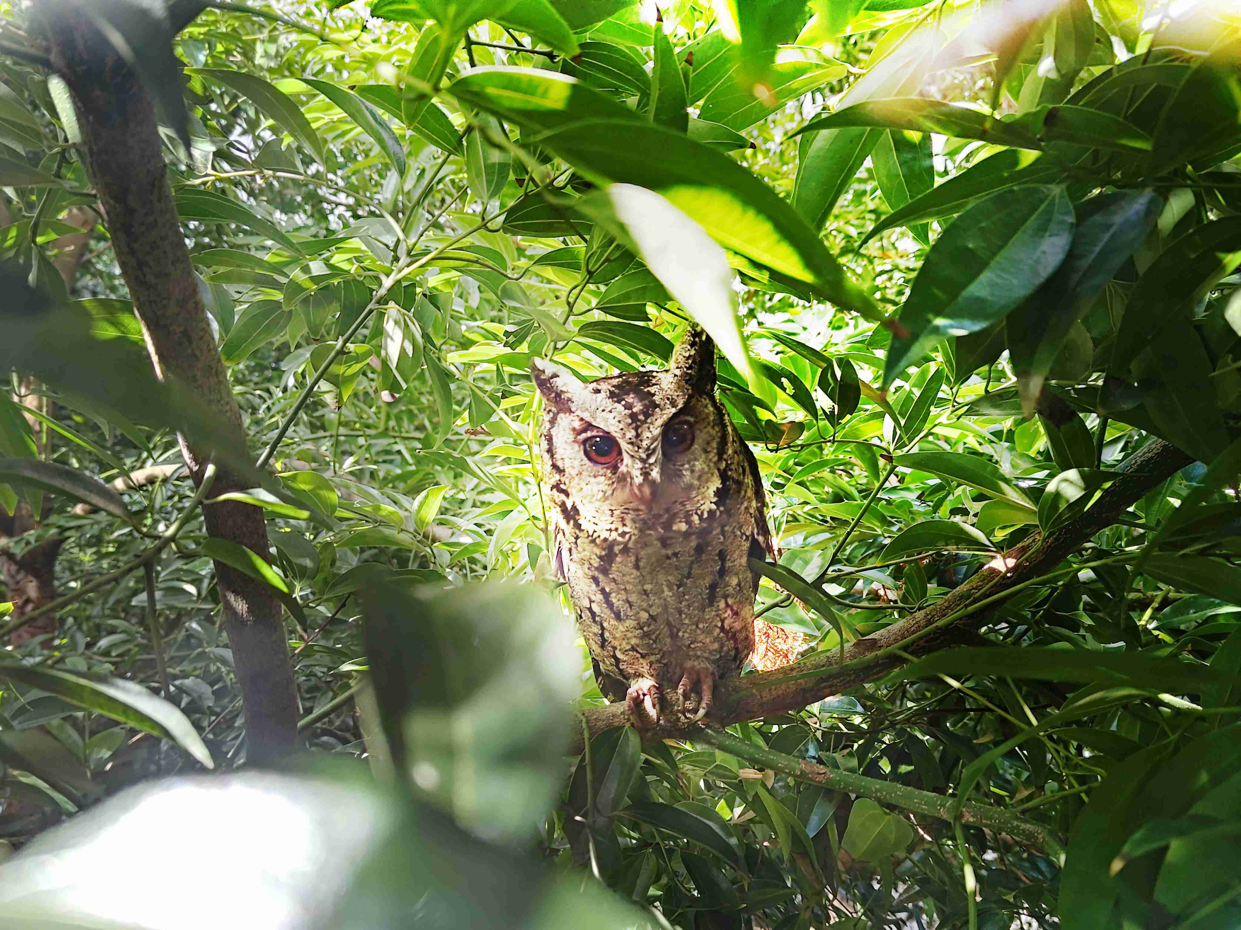 财神娱乐致力提倡净零绿生活，，16年以来在全球各厂区植树逾百万棵，，，，造就各厂区树木蔚然成林，，，，犹如森林工厂，，，成为许多生物的栖息地